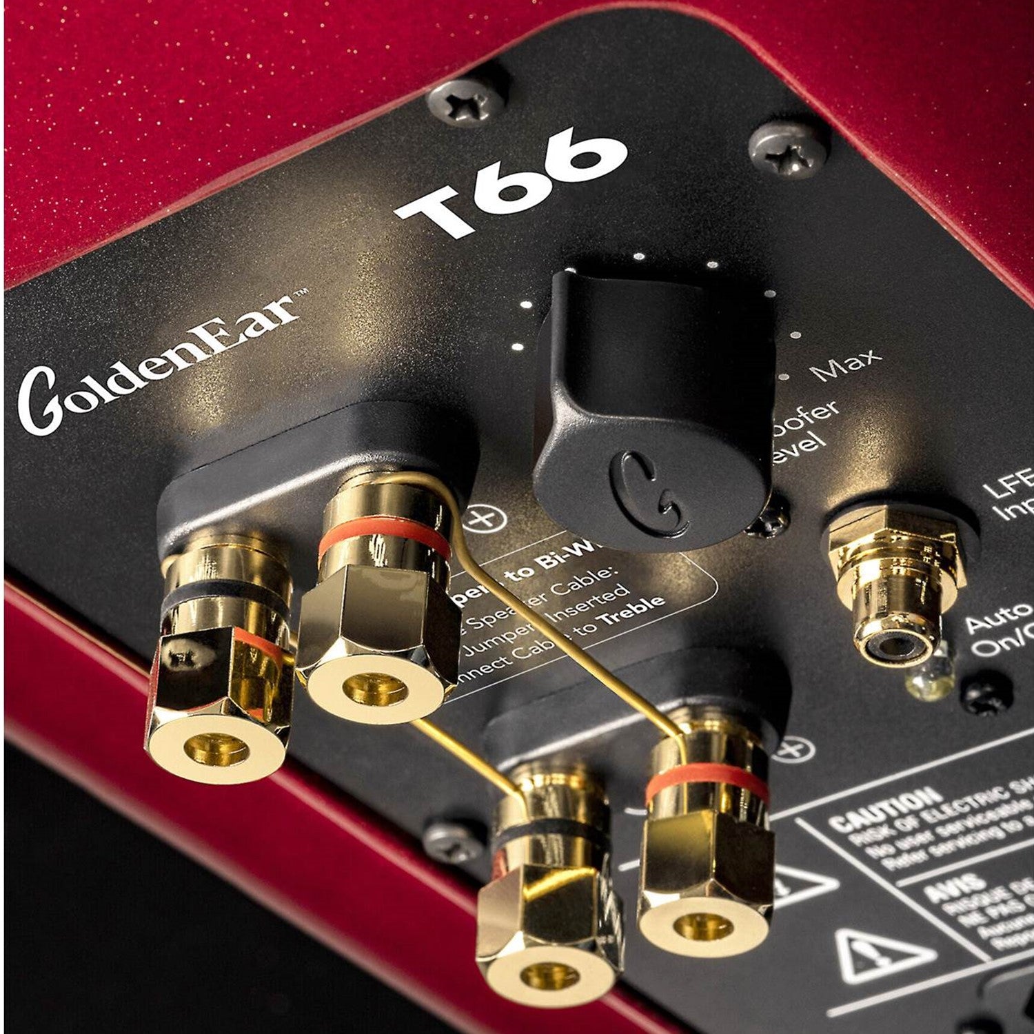 GoldenEar T66 Floor-standing Speaker (each) | Best GoldenEar T66 Floor-standing Speaker (each) | GoldenEar T66 Floor-standing Speaker (each) Reviews | Audiolab Home Audio