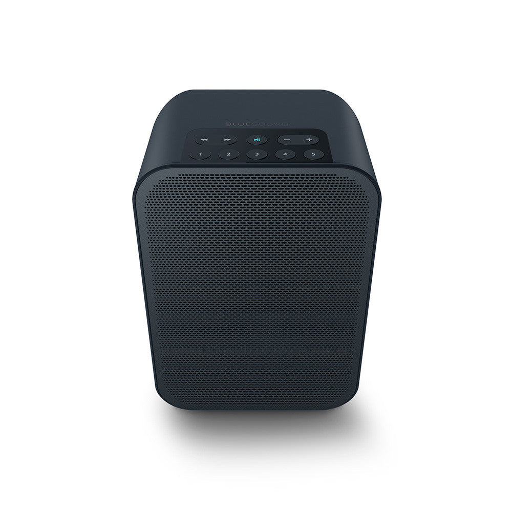 Bluesound Pulse Flex 2i Portable Wireless Multi-Room Music Streaming Speaker | Best Bluesound Pulse Flex 2i Portable Wireless Multi-Room Music Streaming Speaker | Bluesound Pulse Flex 2i Portable Wireless Multi-Room Music Streaming Speaker Reviews | Audiolab Home Audio