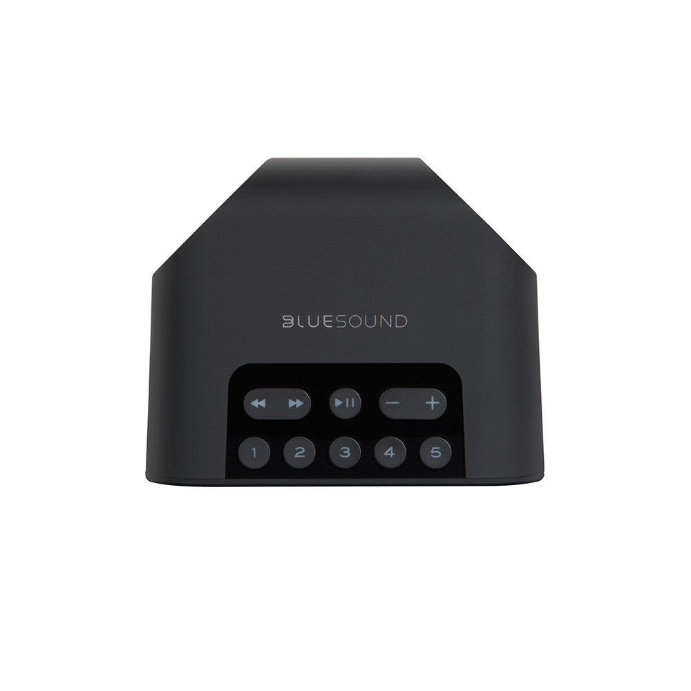 Bluesound Pulse Flex 2i Portable Wireless Multi-Room Music Streaming Speaker | Best Bluesound Pulse Flex 2i Portable Wireless Multi-Room Music Streaming Speaker | Bluesound Pulse Flex 2i Portable Wireless Multi-Room Music Streaming Speaker Reviews | Audiolab Home Audio