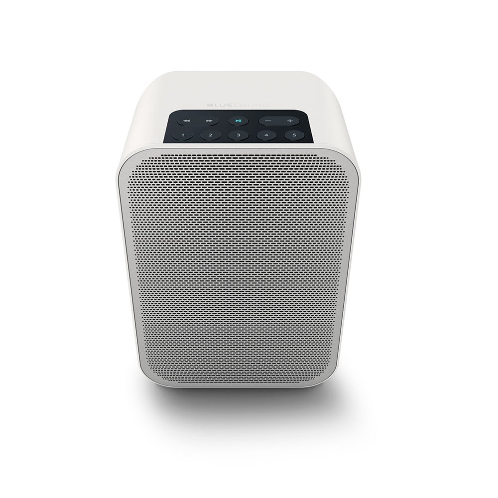 Bluesound Pulse Flex 2i Portable Wireless Multi-Room Music Streaming Speaker | Best Bluesound Pulse Flex 2i Portable Wireless Multi-Room Music Streaming Speaker | Bluesound Pulse Flex 2i Portable Wireless Multi-Room Music Streaming Speaker Reviews | Audiolab Home Audio