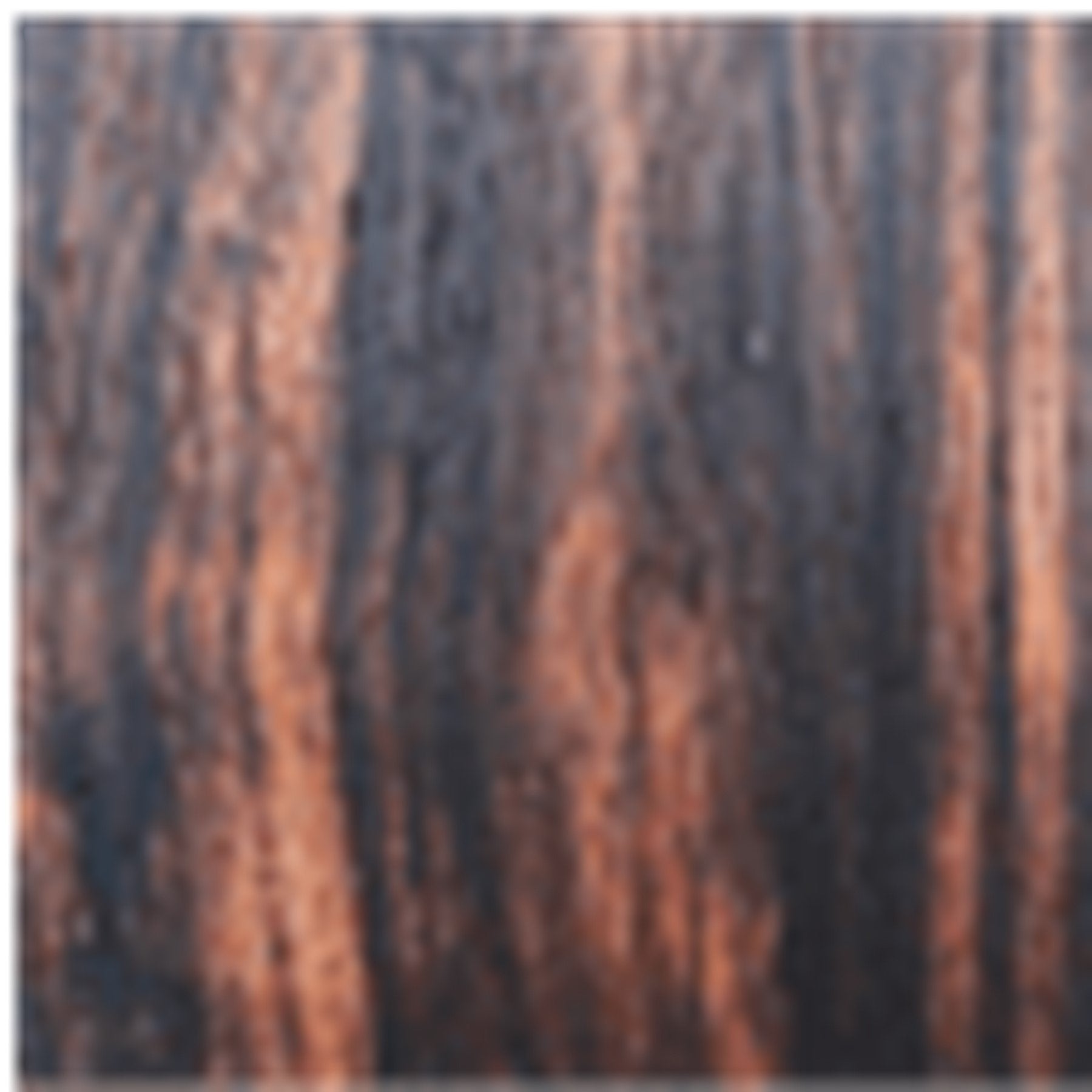 Perlisten S5M Monitor Speaker (Each) | Best Perlisten S5M Monitor Speaker (Each) | Perlisten S5M Monitor Speaker (Each) Reviews | Audiolab Home Audio