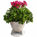 Rockustics OmniPlanter 8.0 Omnidirectional Outdoor Speaker | Best Rockustics OmniPlanter 8.0 Omnidirectional Outdoor Speaker | Rockustics OmniPlanter 8.0 Omnidirectional Outdoor Speaker Reviews | Audiolab Home Audio