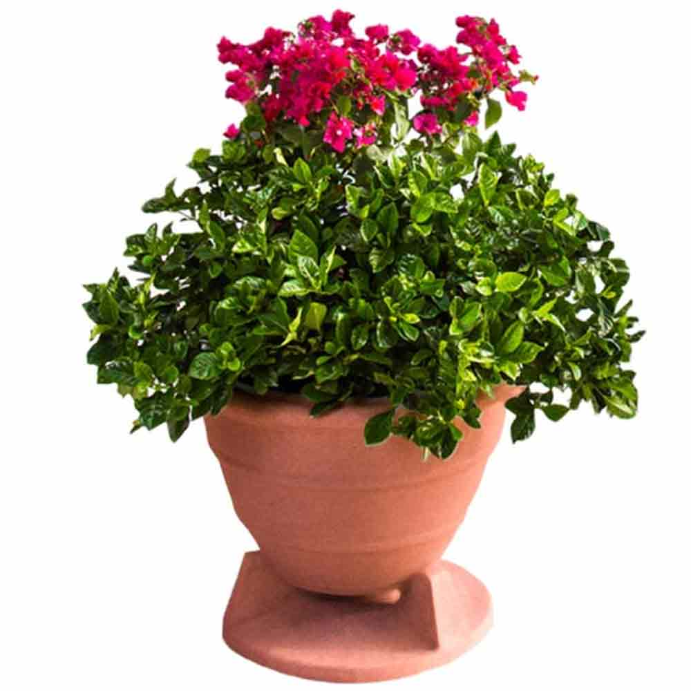 Rockustics OmniPlanter 8.0 Omnidirectional Outdoor Speaker | Best Rockustics OmniPlanter 8.0 Omnidirectional Outdoor Speaker | Rockustics OmniPlanter 8.0 Omnidirectional Outdoor Speaker Reviews | Audiolab Home Audio