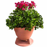 Rockustics OmniPlanter 8.0 Omnidirectional Outdoor Speaker | Best Rockustics OmniPlanter 8.0 Omnidirectional Outdoor Speaker | Rockustics OmniPlanter 8.0 Omnidirectional Outdoor Speaker Reviews | Audiolab Home Audio