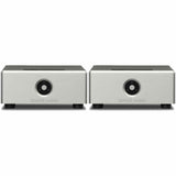 Rogue Audio DragoN Monoblock Amplifier (Pair) | Best Rogue Audio DragoN Monoblock Amplifier (Pair) | Rogue Audio DragoN Monoblock Amplifier (Pair) Reviews | Audiolab Home Audio