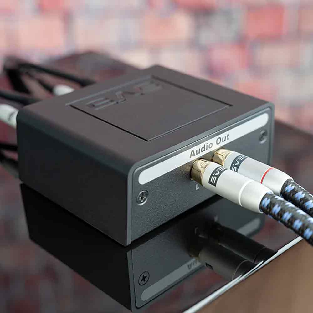 SVS SoundPath Speaker Level Subwoofer Adapter | Best SVS SoundPath Speaker Level Subwoofer Adapter | SVS SoundPath Speaker Level Subwoofer Adapter Reviews |  Audiolab Stereo & Video