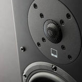 SVS Prime Pinnacle Floor Standing Tower Loudspeaker (Each) | Best SVS Prime Pinnacle Floor Standing Tower Loudspeaker (Each) | SVS Prime Pinnacle Floor Standing Tower Loudspeaker (Each) Reviews | Audiolab Home Audio