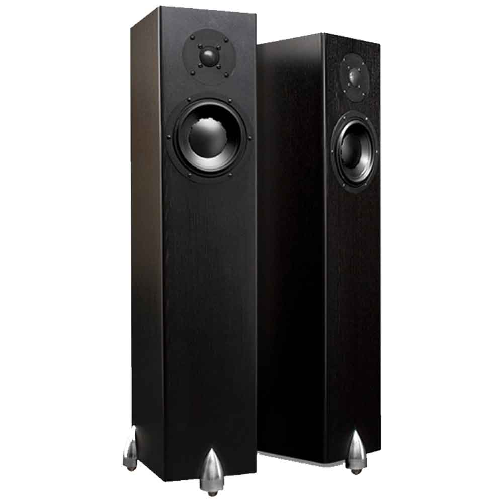 Totem Forest in Black Veneer (Pair) | Best Totem Forest in Black Veneer (Pair) | Totem Forest in Black Veneer (Pair) Reviews | Audiolab Home Audio