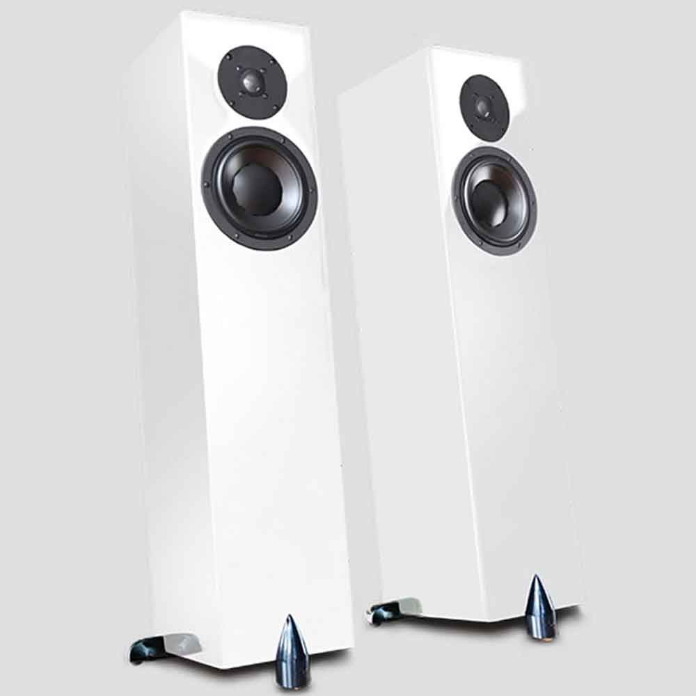 Totem Forest Signature in Ice (Pair) | Best Totem Forest Signature in Ice (Pair) | Totem Forest Signature in Ice (Pair) Reviews | Audiolab Home Audio