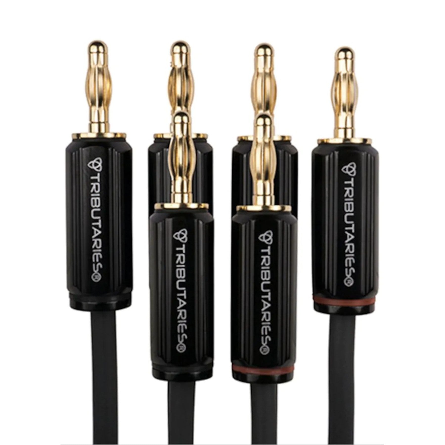 Tributaries Series 4 Bi-Wire Speaker Cable (Banana Plug) - 8ft - Audiolab