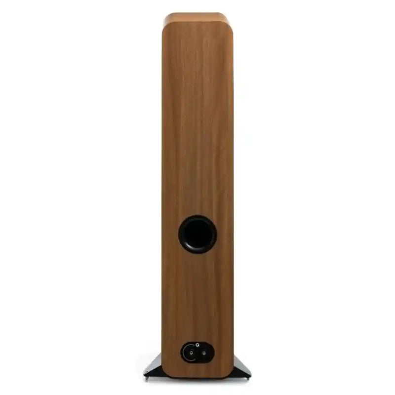 Q Acoustics 3050C High Performance Floorstanding Speaker in Pin Oak (Pair) Rear View - Audiolab