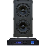 SVS 3000 In-Wall Subwoofer System With Amplifier