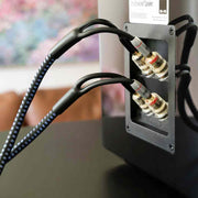 SVS SoundPath Ultra Bi-Wire Speaker Cable | Best SVS SoundPath Ultra Bi-Wire Speaker Cable | SVS SoundPath Ultra Bi-Wire Speaker Cable Reviews | Audiolab Home Audio