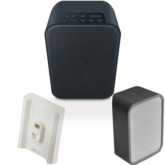 Bluesound Bundle: Pulse Flex 2i Portable Wireless Speaker, BP100 Battery Pack and PULSE FLEX Skin in Charcoal