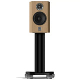 Marten Dexter Duo (Pair)