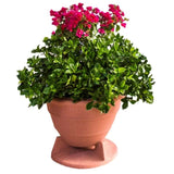 Rockustics OmniPlanter 6.5” Omnidirectional Outdoor Speaker | Best Rockustics OmniPlanter 6.5” Omnidirectional Outdoor Speaker | Rockustics OmniPlanter 6.5” Omnidirectional Outdoor Speaker Reviews | Audiolab Home Audio