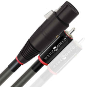 Wireworld EQI Equinox 10 Interconnect Cable (Pair) | Best Wireworld EQI Equinox 10 Interconnect Cable (Pair) | Wireworld EQI Equinox 10 Interconnect Cable (Pair) Reviews | Audiolab Home Audio